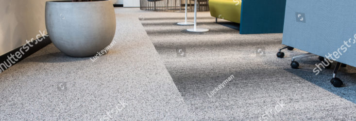 Carpet